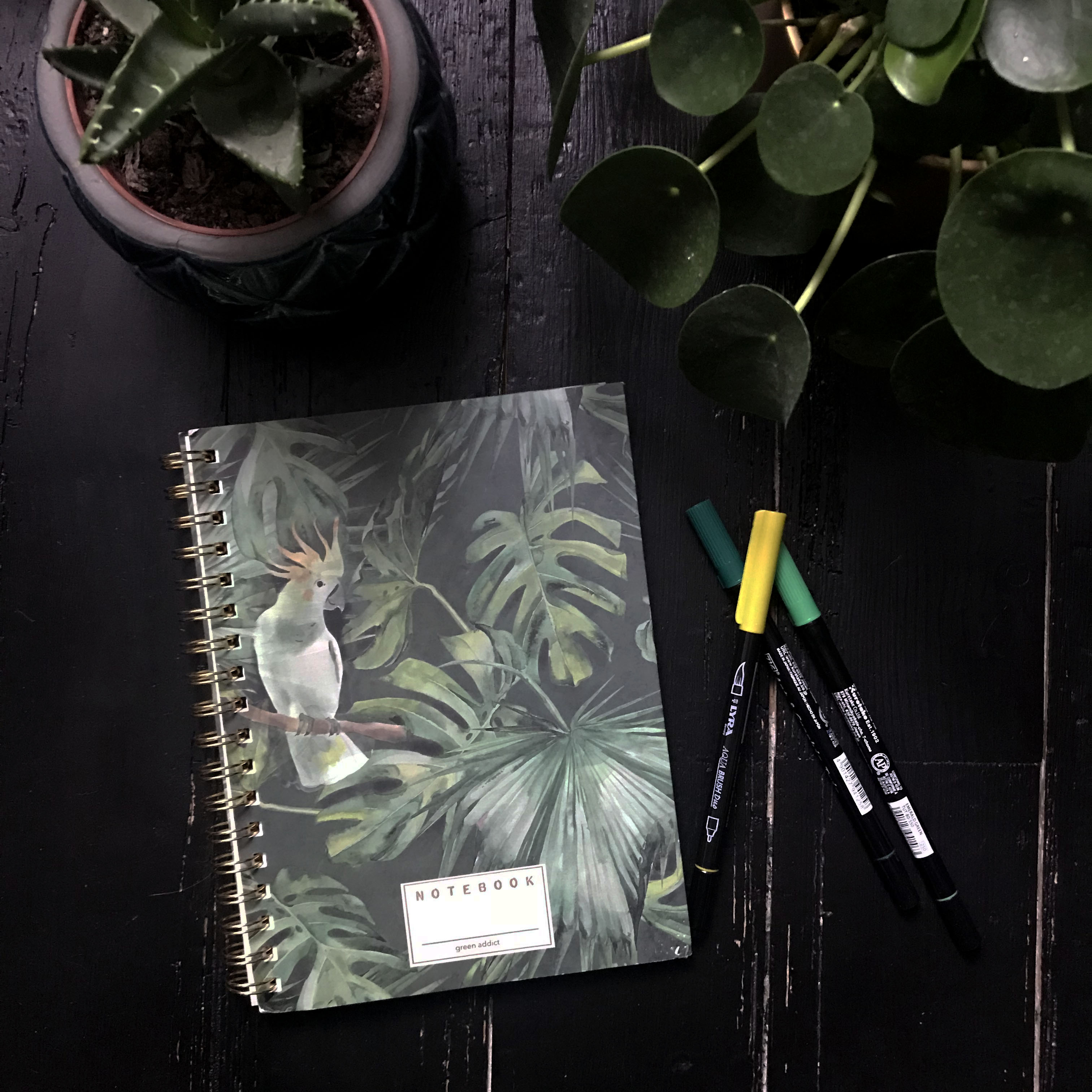 atelierdestilleuls.com notebook plantes 01