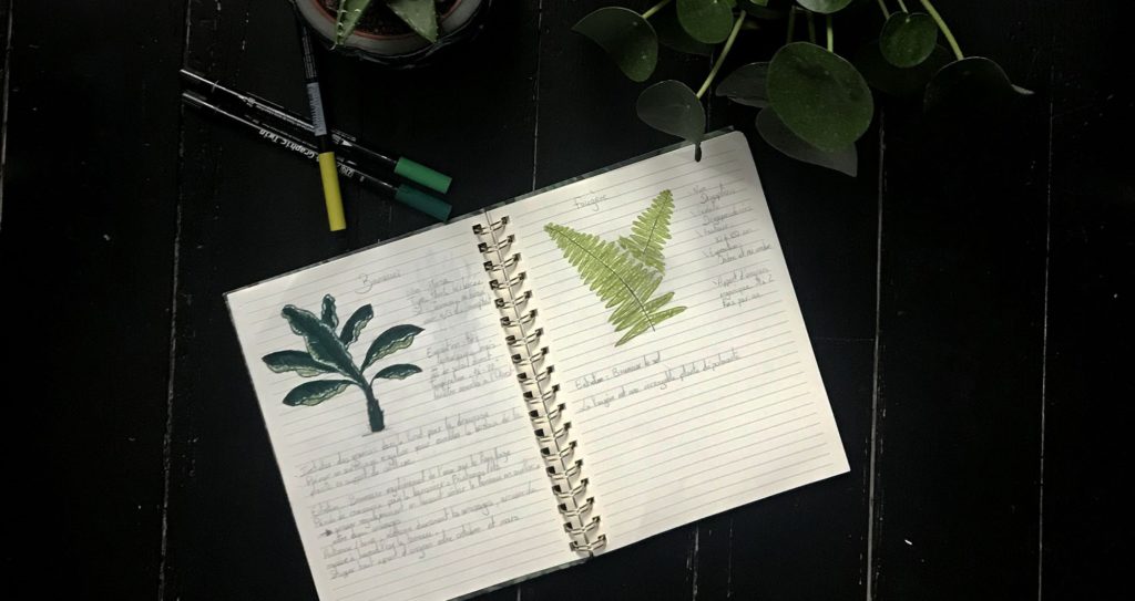 atelierdestilleuls.com carnet entretien plantes 03-2