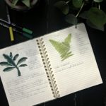 atelierdestilleuls.com carnet entretien plantes 03-2