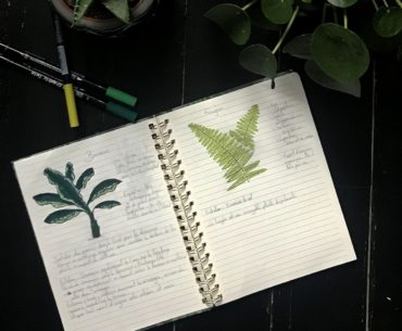 atelierdestilleuls.com carnet entretien plantes 03-2