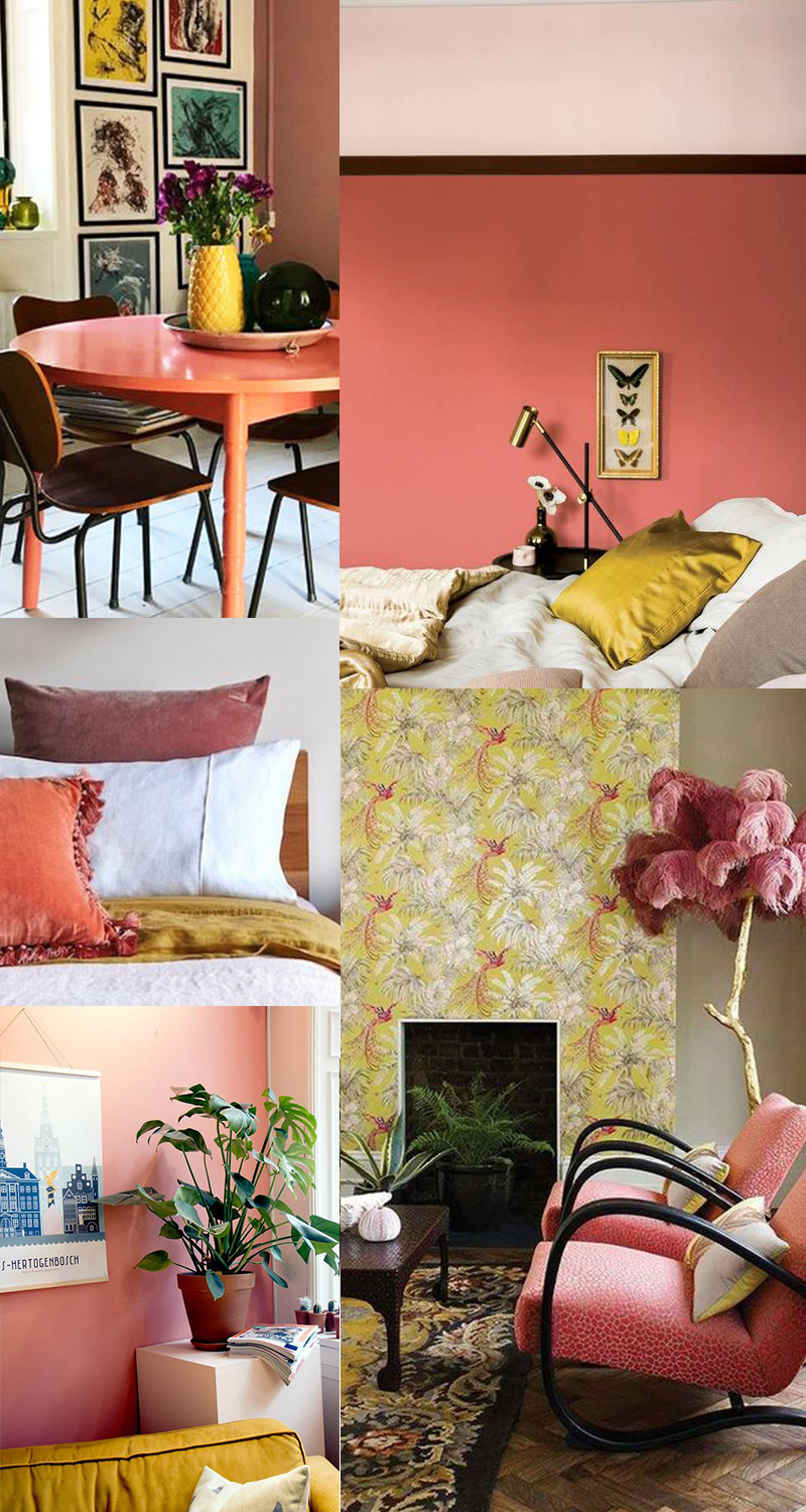 Planche couleurs : Living Coral et jaune