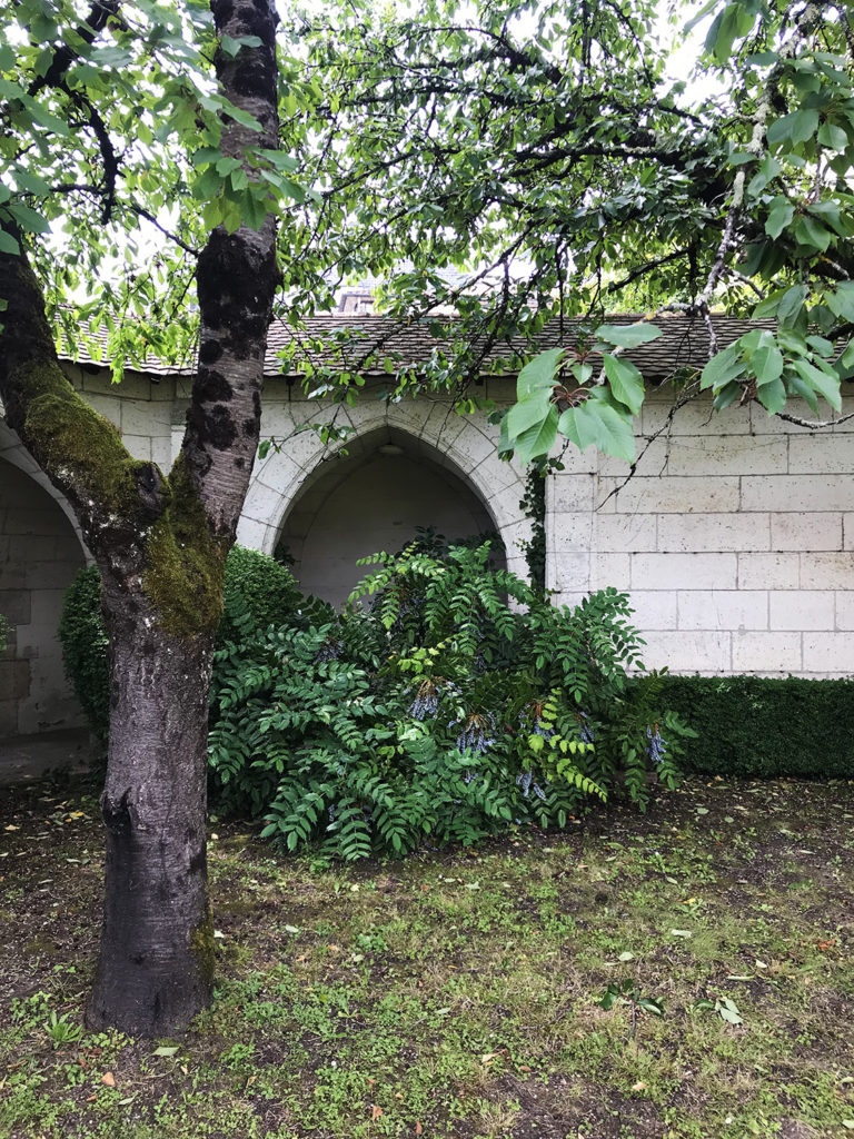 jardin de la maison alsacienne à Angoulême en Charente