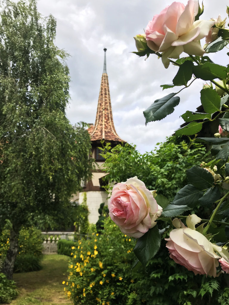 jardin de la maison alsacienne à Angoulême en Charente