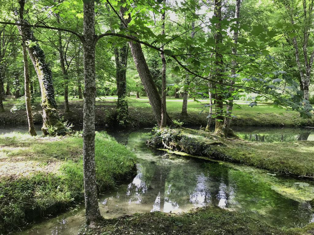 le ruisseau dans les jardins du Logis de Forge en Charente