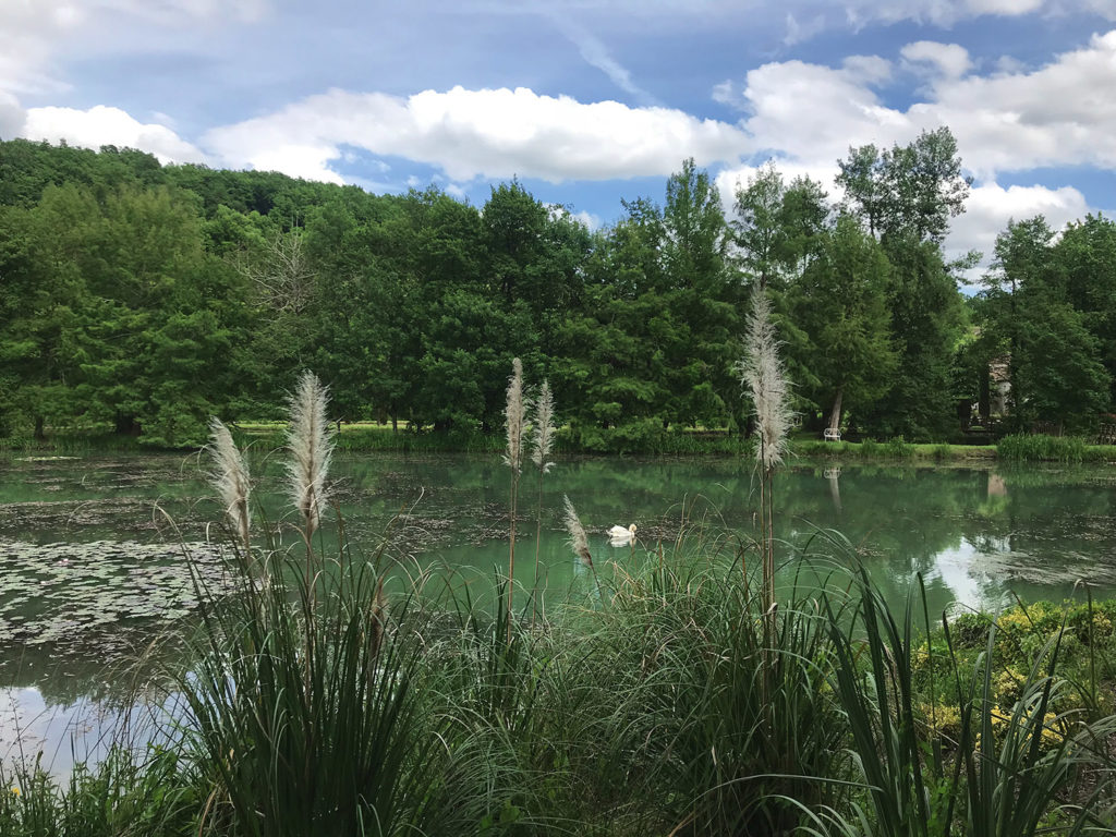 vue de l'étang dans les jardins du Logis de Forge en Charente