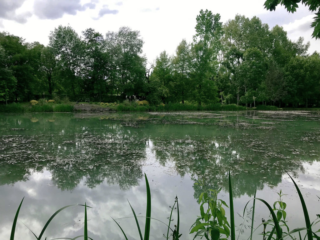 vue de l'étang dans les jardins du Logis de Forge en Charente