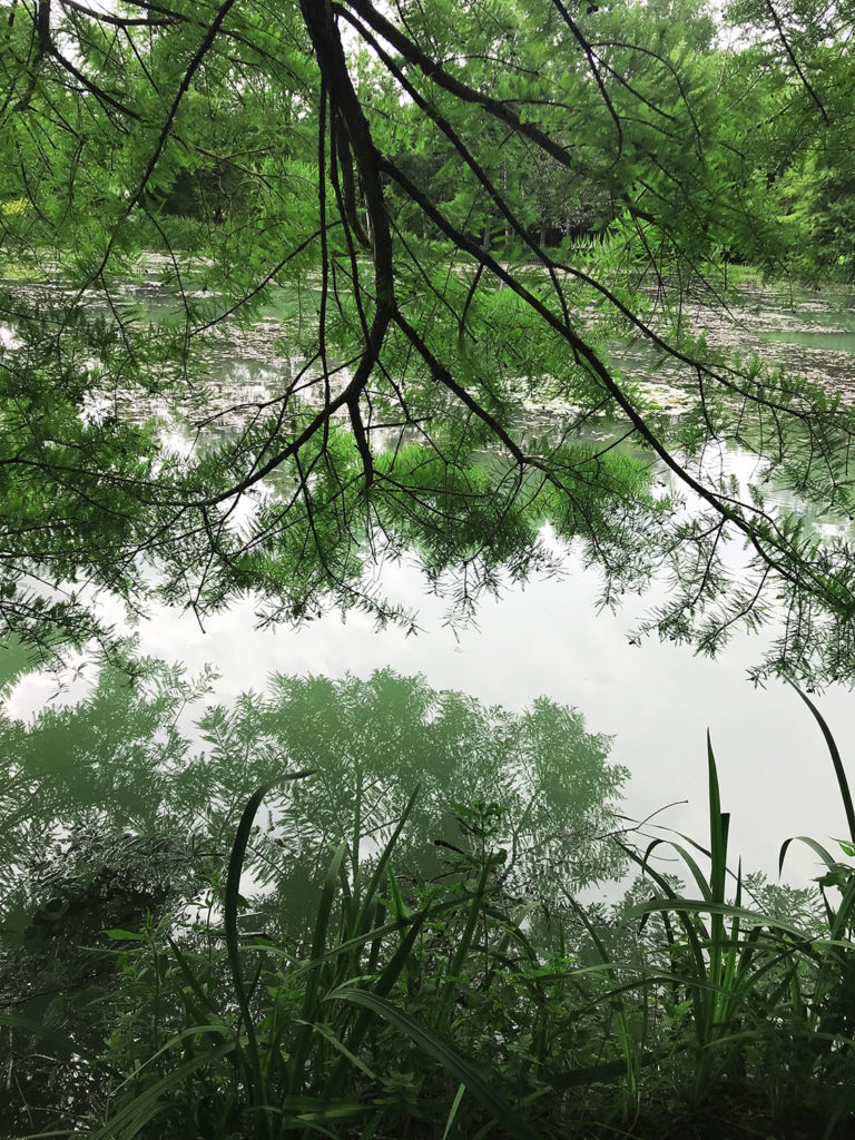 vue de l'étang dans les jardins du Logis de Forge en Charente