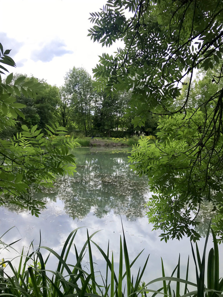 vue de l'étang dans les jardins du Logis de Forge en Charente