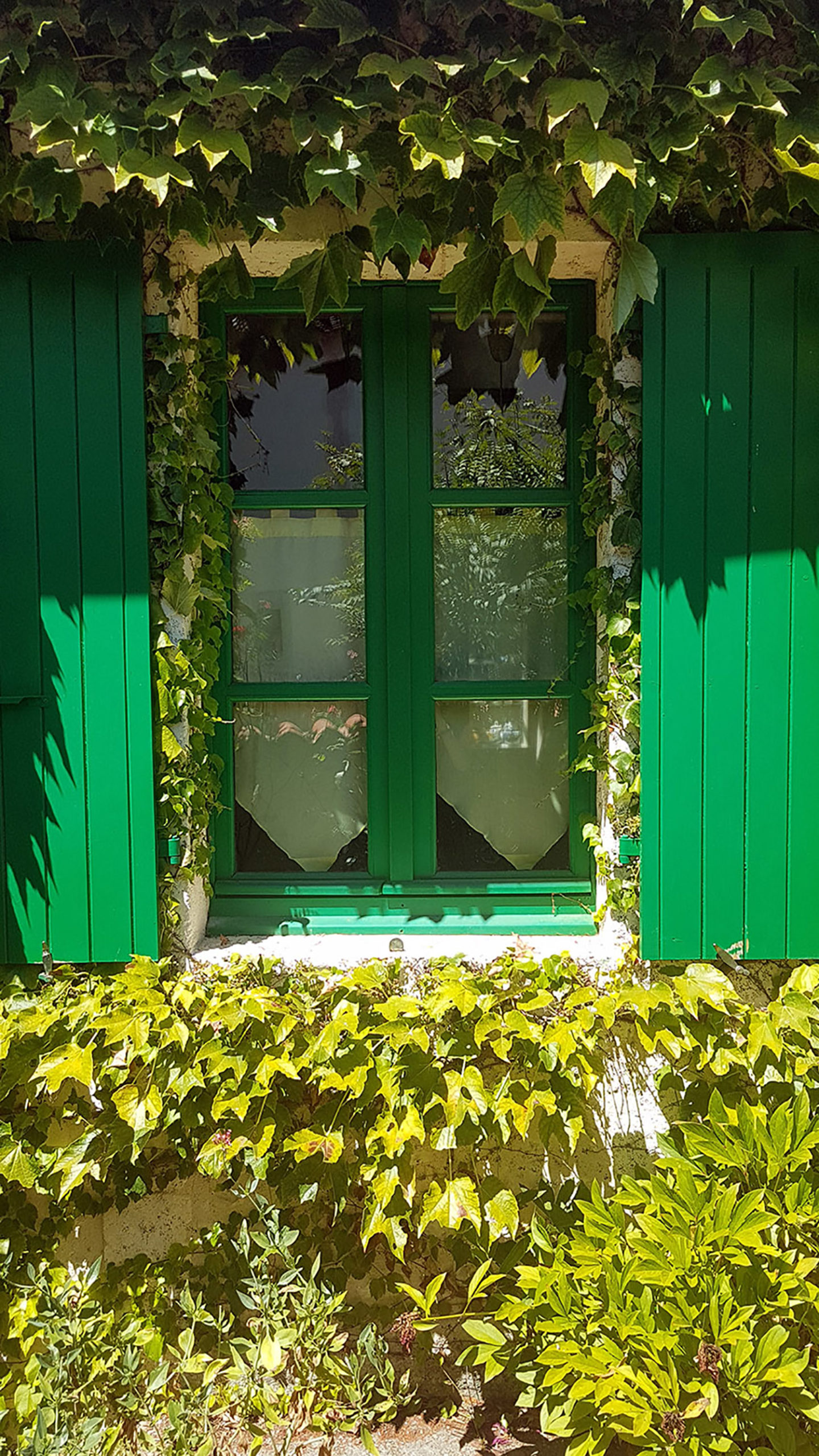 fenêtre maison des jardins du coq