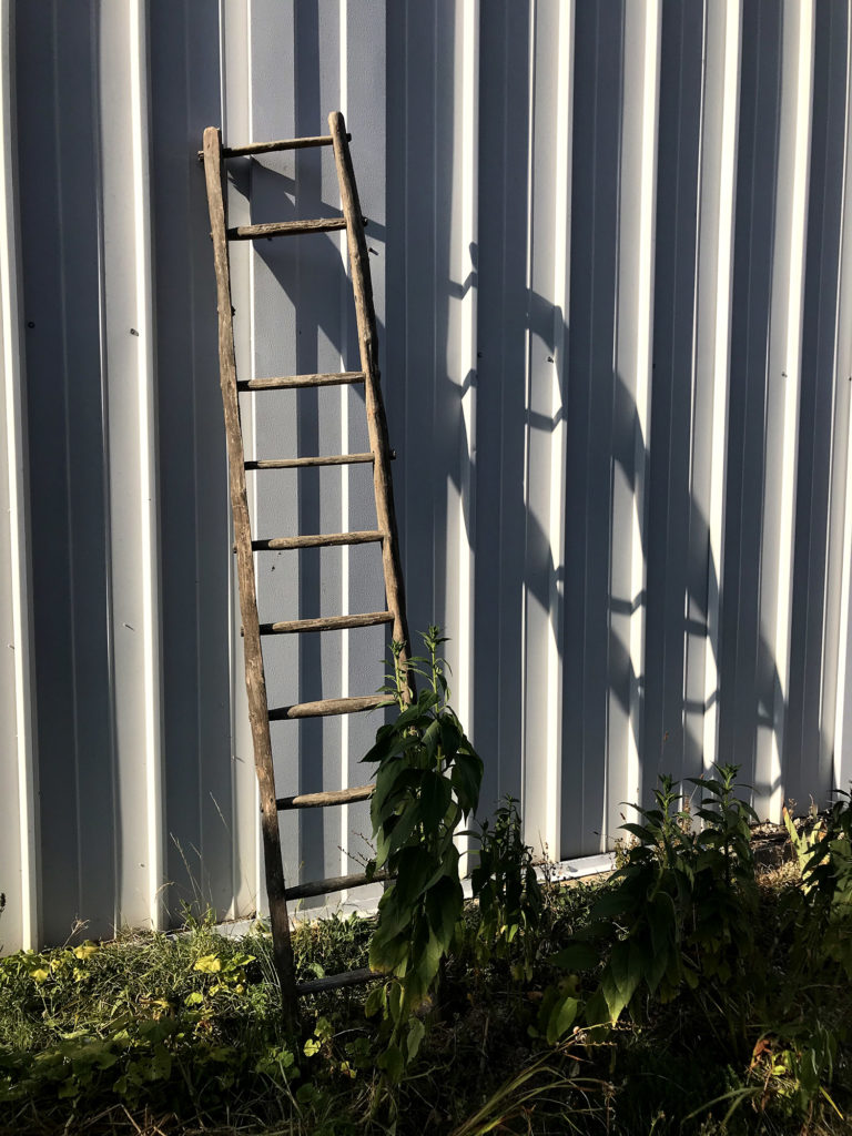 jardin de la recyclerie avril rouillac