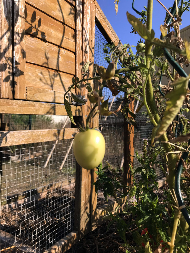 jardin de la recyclerie avril rouillac