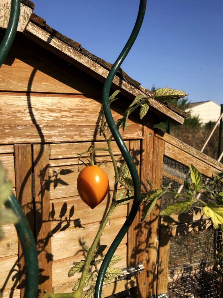 jardin de la recyclerie avril rouillac