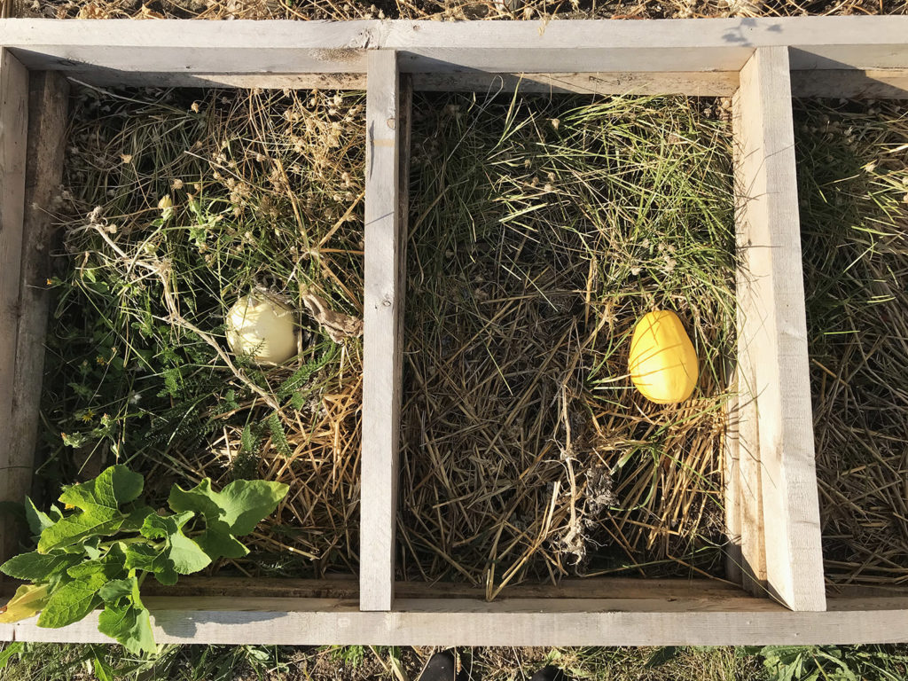 jardin de la recyclerie avril rouillac