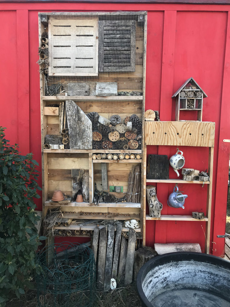 cabane à insectes de la recyclerie avril rouillac