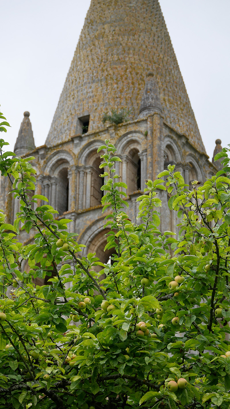 détail du clocher de l'abbaye de Bassac en Charente