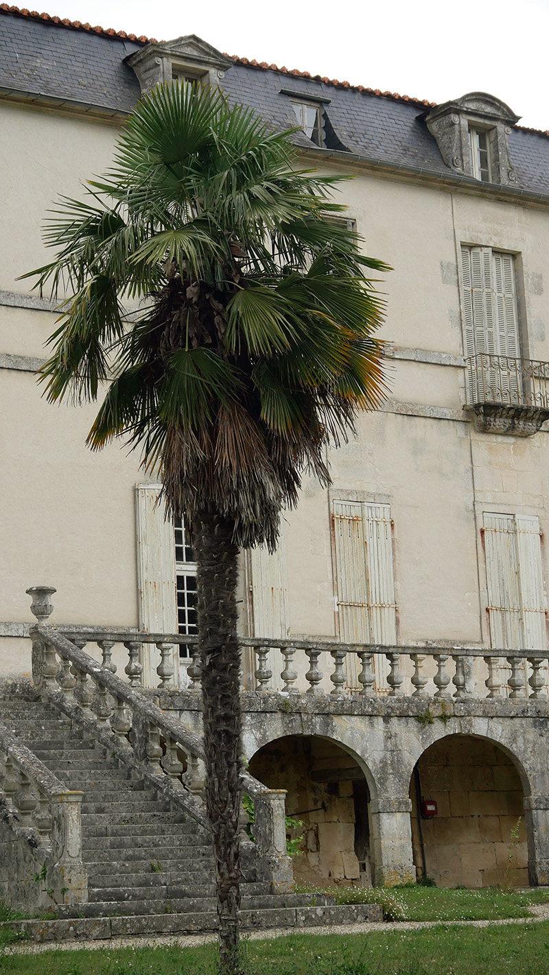 vue de la façade de l'abbaye de Bassac depuis les jardins