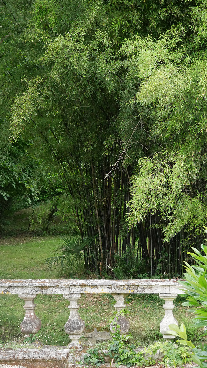 jardins de l'abbaye de Bassac