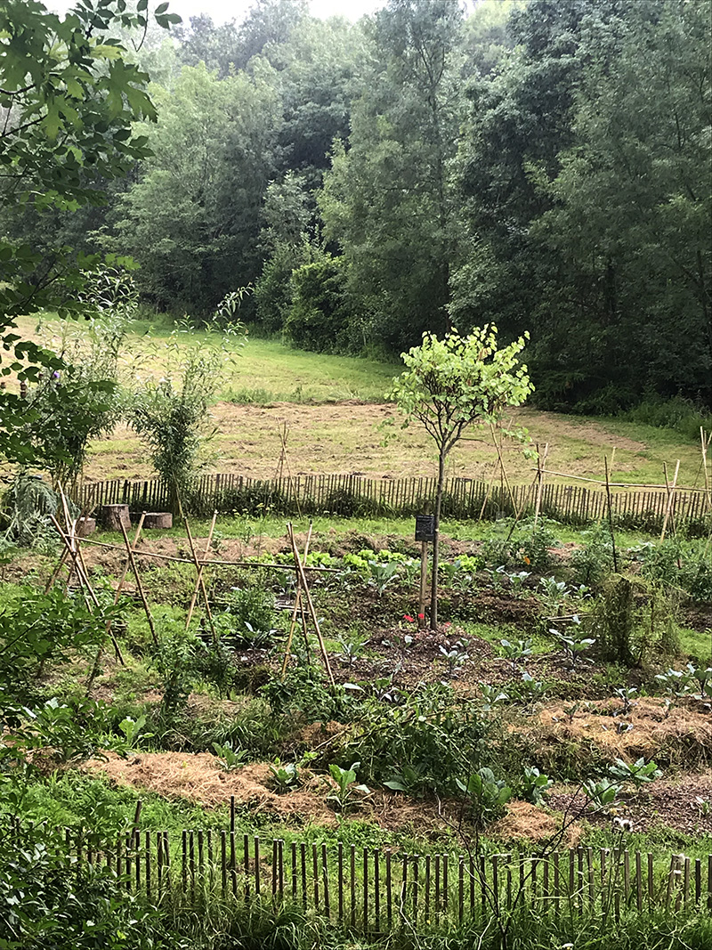 potager de l'abbaye de Bassac en Charente