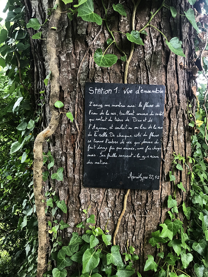 témoignage sur un arbre de l'abbaye de Bassac en Charente